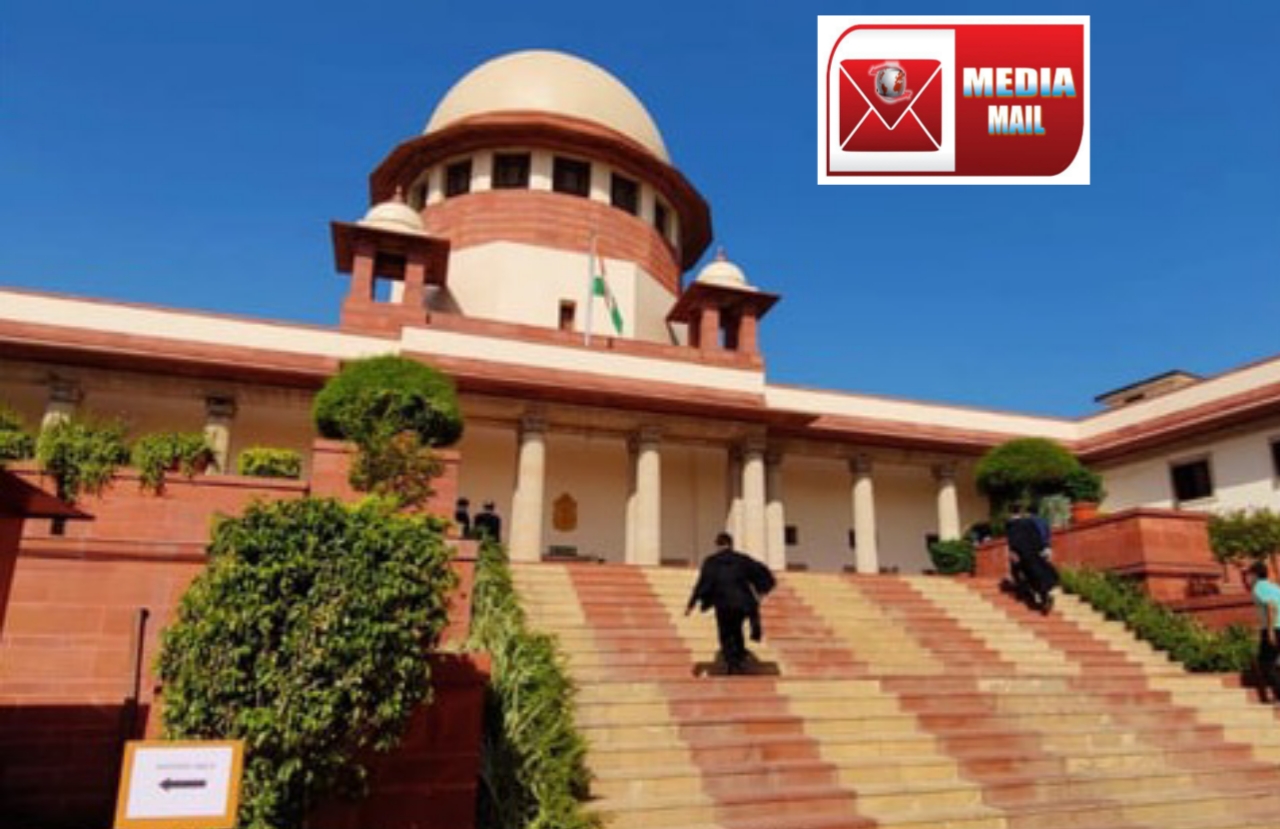 अवैध वृक्षतोड म्हणजे मानवी हत्याकांडासारखे ! प्रती वृक्ष १ लाख रु दंड वसुल करा- सुप्रीम कोर्टाचे आदेश